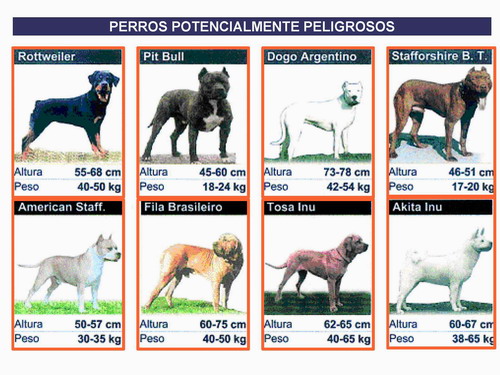Perros peligrosos