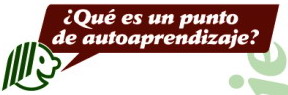 Punto de autoaprendizaje