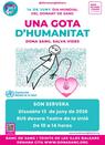 Dona sang. Dissabte 13 de juny