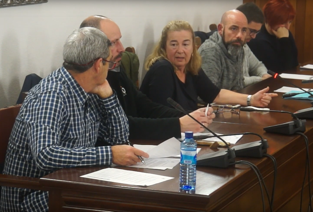 Ple ordinari de 18 de gener de 2019 - Assabentats i precs i preguntes