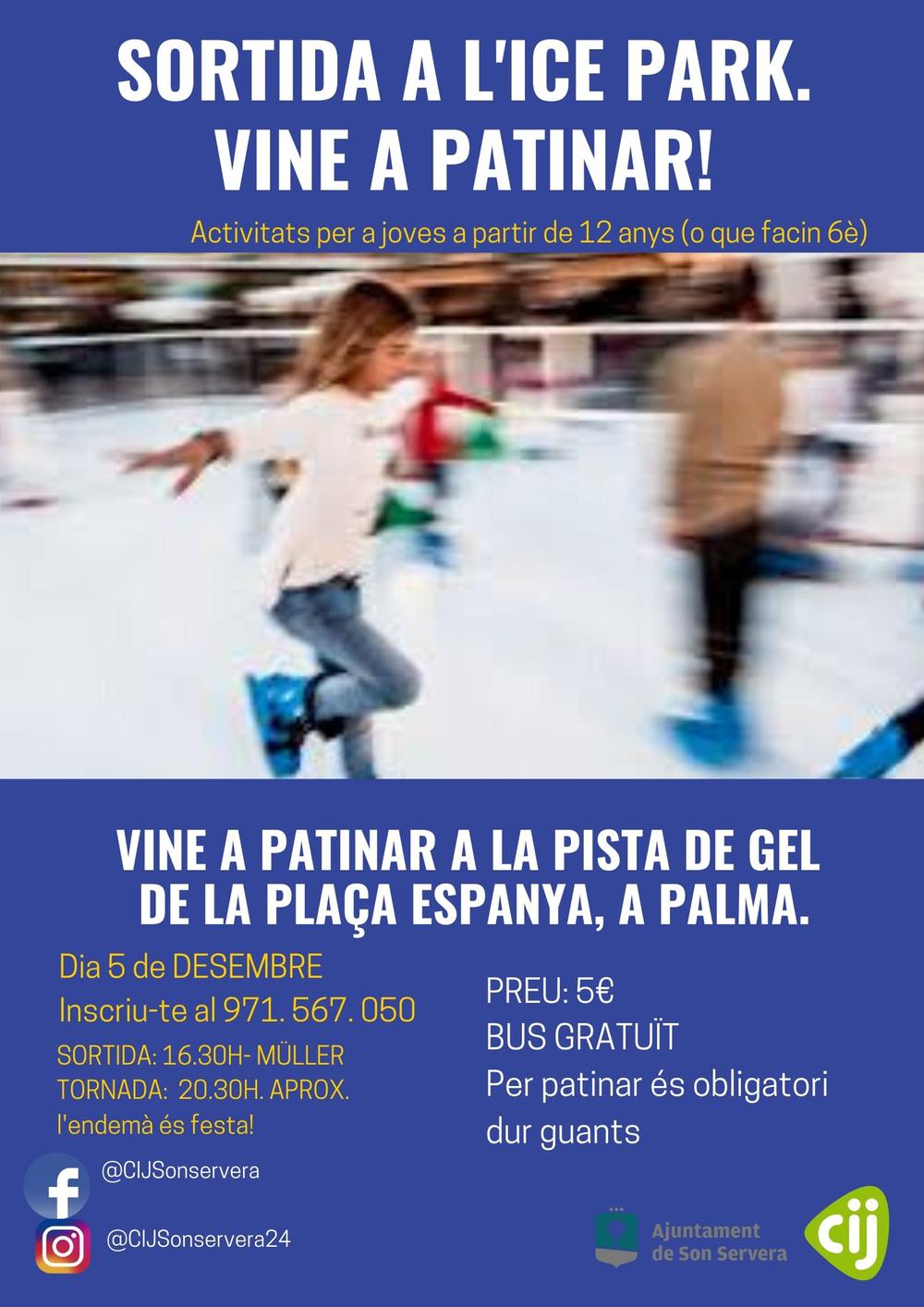 Sortida a Ice Park